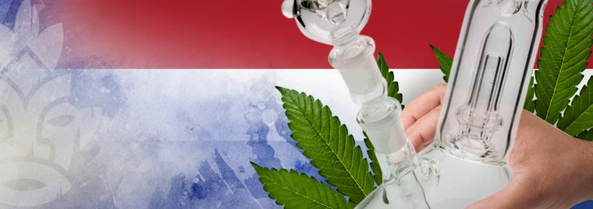 Cannabis-Vriendelijke Landen: Nederland